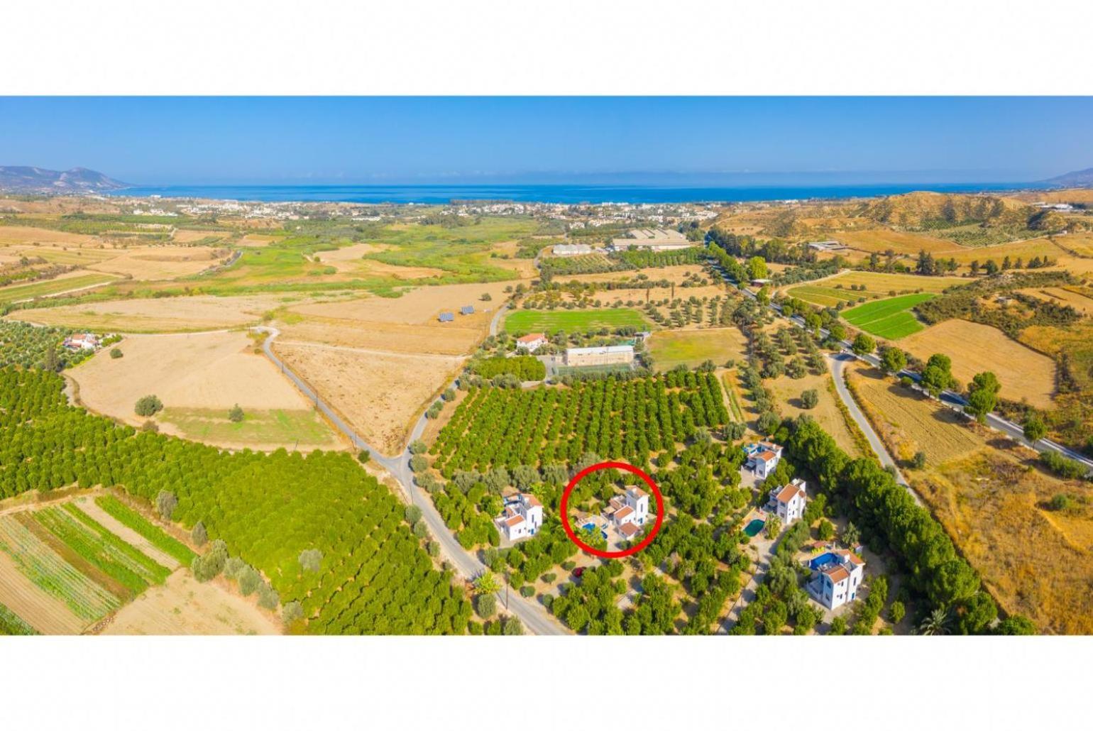 Villa Charoula Pente Пафос Екстер'єр фото